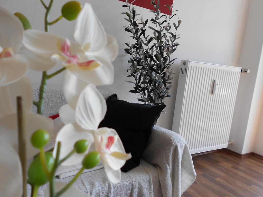 Appartement Beethoven Ratisbonne